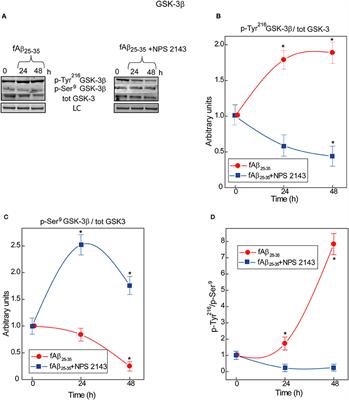 Amyloid β-Exposed Human Astrocytes Overproduce Phospho-Tau and Overrelease It within Exosomes, Effects Suppressed by Calcilytic NPS 2143—Further Implications for Alzheimer's Therapy